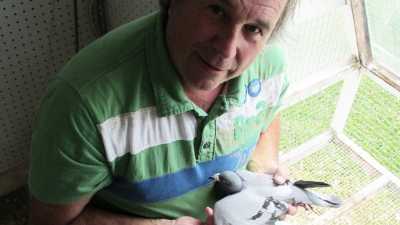 Michel Gosselin, Canadian pigeon fancier, with the bird from Staffordshire
