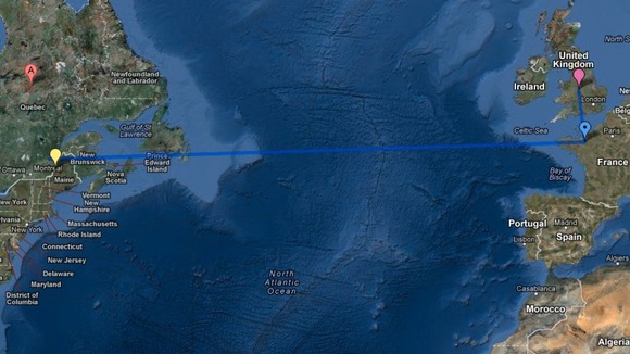 The pigeon travelled 3000 miles instead of 300 miles