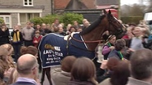 Two-time Gold Cup winner Kauto Star 