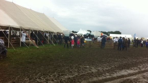 Tendring Hundred Show