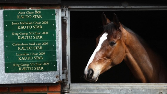 Kauto Star in his stable at Manor Farm, Ditcheat, Somerset. 