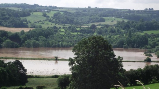 Flooded fields