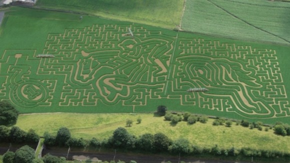 Maize Maze