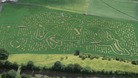 Maize Maze