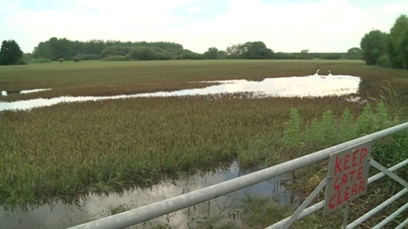Farm land swamped with water