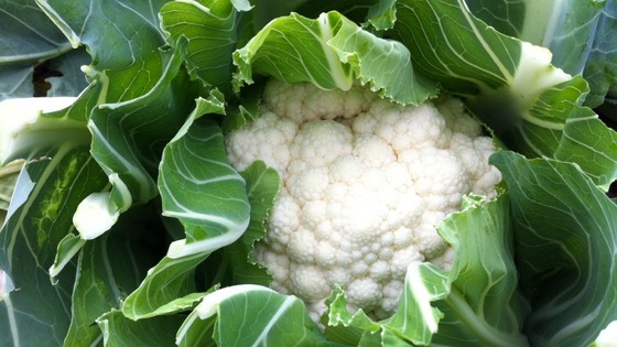 Cauliflower