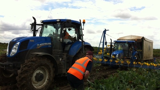 Tractor pulls stranded harvester from mud