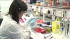 Scientist conducts tests at the University of Southampton