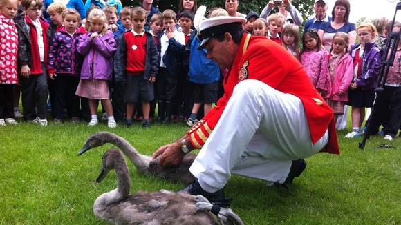 The Queen's Swan Marker shows school children how to measure cygnets