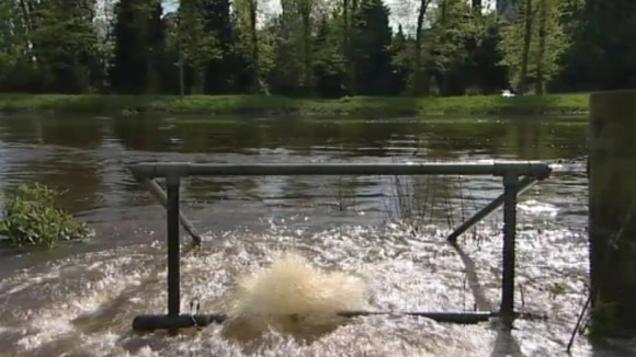 Flooding in the Calendar region