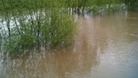 Flooding in Perwick, Worcestershire