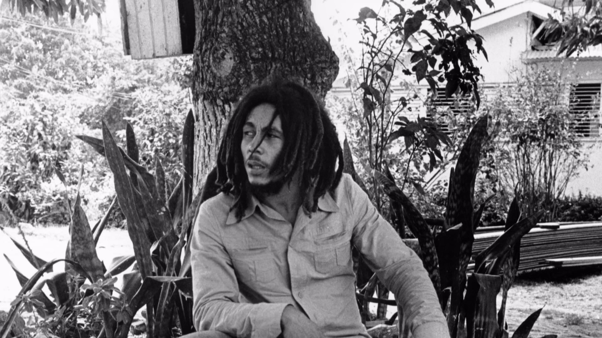 Dennis Morris on the iconic photos of Bob Marley that made his career