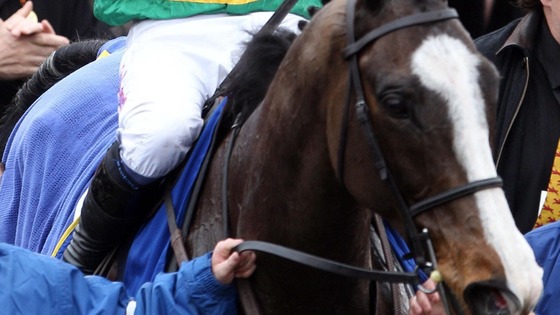 Synchronised wins the Cheltenham Gold Cup 