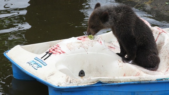 Loki enjoys a light snack aboard his very own boat