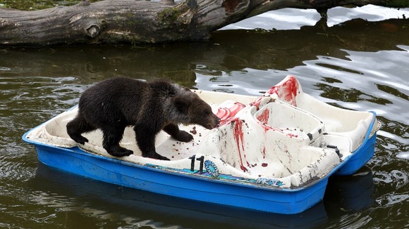That boats going at quite a lick