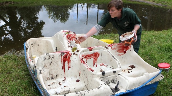 Animal Keeper Nicola McCleery covers a pedalo in jam and grapes