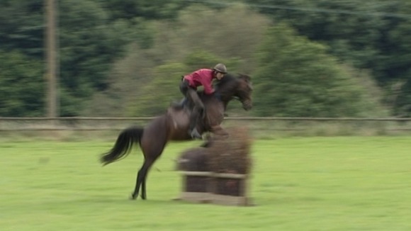 Horse and rider jumping