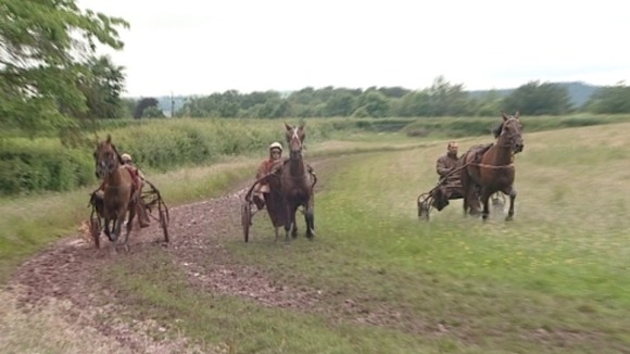 Trotting horses