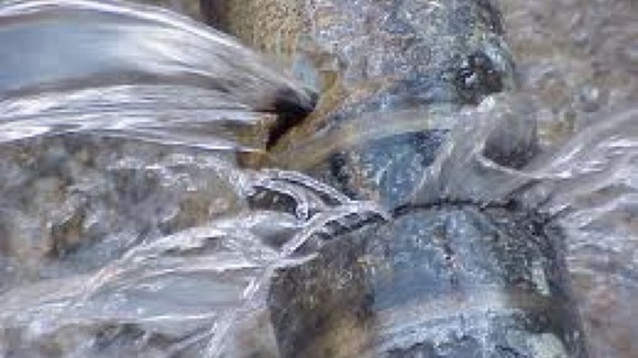 Leaking pipes
