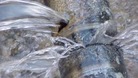 Leaking pipes