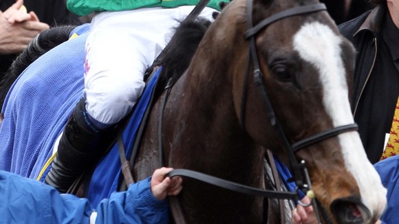 Synchronised take the Cheltenham Gold Cup title