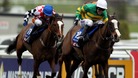 Tony McCoy rides to victory in the Cheltenham Gold Cup on Synchronised