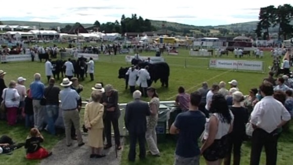 Crowds gathered at showground