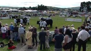 Crowds gathered at showground
