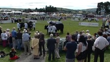 Crowds gathered at showground