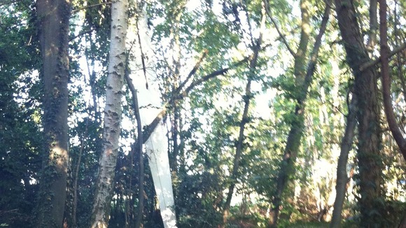 Glider