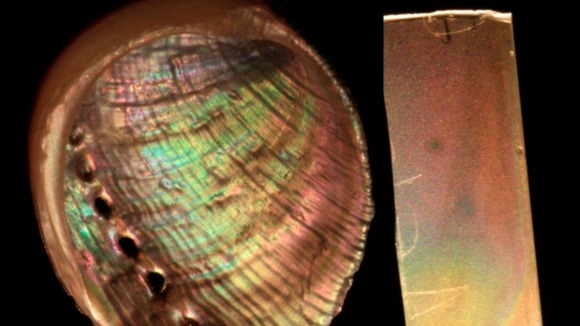 The synthetic mother of pearl (on the right)
