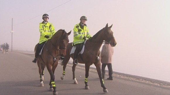 Essex, horses, police