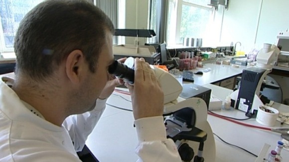 scientist