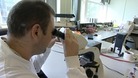 scientist