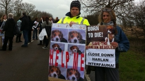 Animal rights campaigners in Wyton