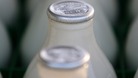 Milk