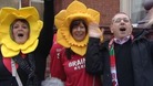 Wales fans