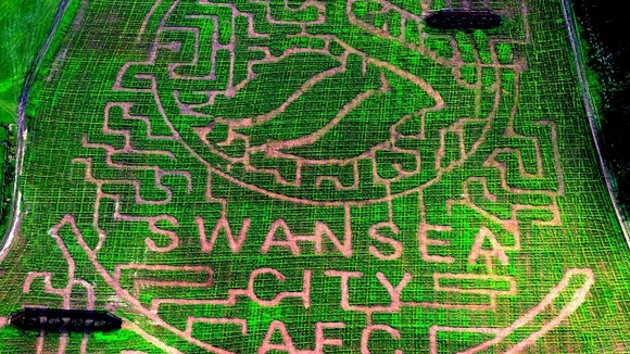Swansea City maize maze