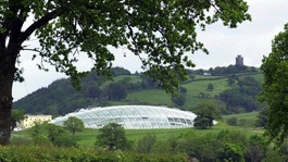 The Royal Botanic Gardens