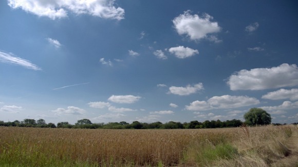 fields, blue sky and cirrus cloud