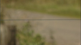 Trip wire