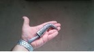 The Kirpan forms part of the 5 Sikh Symbols