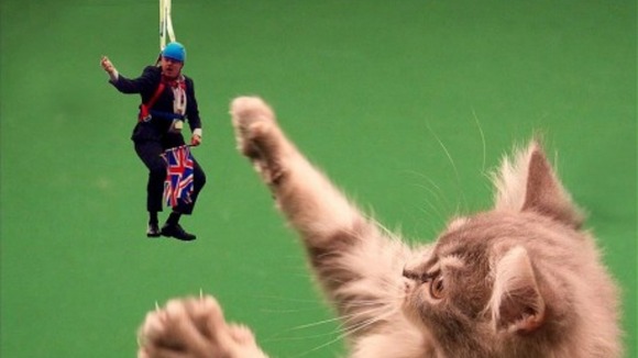 A playful kitten tries to bat the Mayor with its paw.
