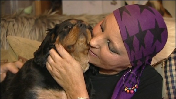 Saviour spaniel