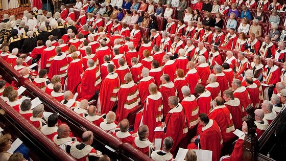 House of Lords during the State Opening of Parliament