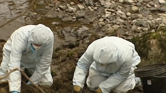 Forensic teams in Cumbria
