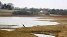 Bewl Water, Kent