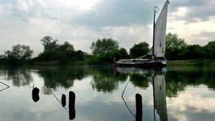 A typical Broads scene