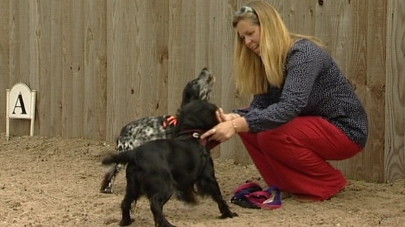 Doctor Jacqueline Boyd with her two pet dogs