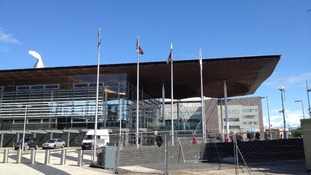 Senedd